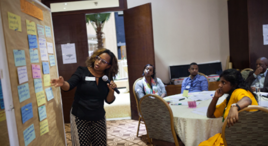 Capacity Development