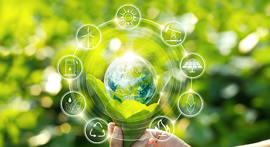 Sustainable Chemistry Meets Bioeconomy: A Perfect Match