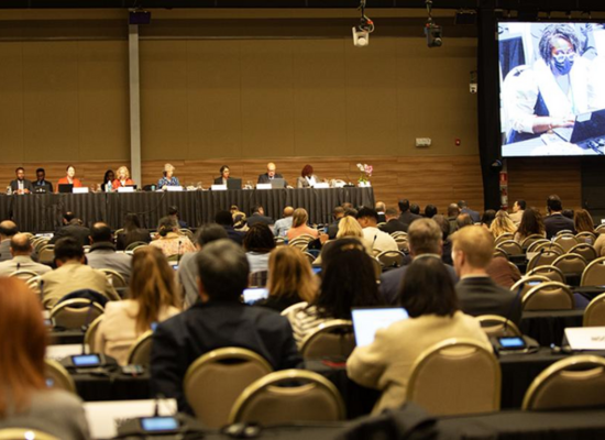 Plenary meeting at the Science-Policy Panel to contribute further to the sound management of chemicals and waste and to prevent pollution UN Environment Assembly – UNEA, Punta del Este, Uruguay